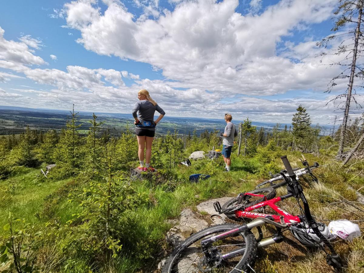 Kapteinsboligen i Evjua Skreia Exterior foto