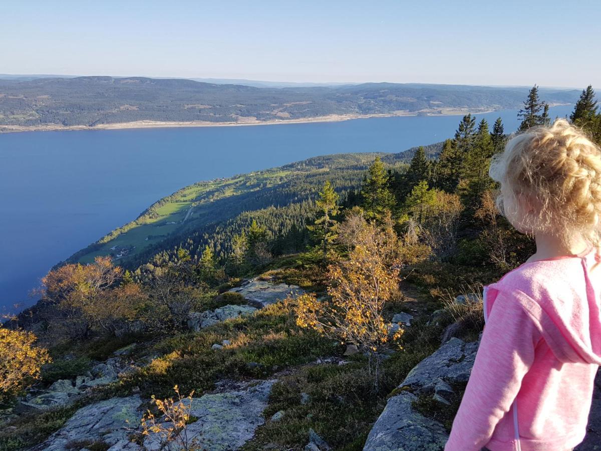 Kapteinsboligen i Evjua Skreia Exterior foto