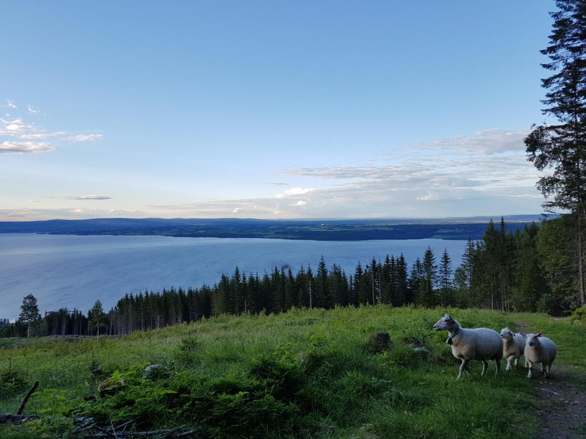 Kapteinsboligen i Evjua Skreia Exterior foto